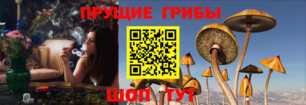 Галлюциногенные грибы Cubensis  Вход с VPN  Галлюциногенные грибы Cubensis  Балашов 